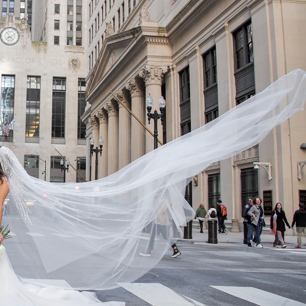 Embellished Cathedral Veil